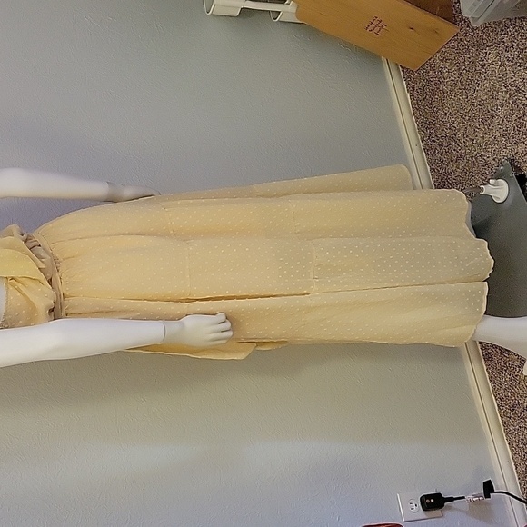 PRETTY GARDEN Ivory Swiss Dot Chiffon Tiered Halter Castlecore Dress - Picture 9 of 15